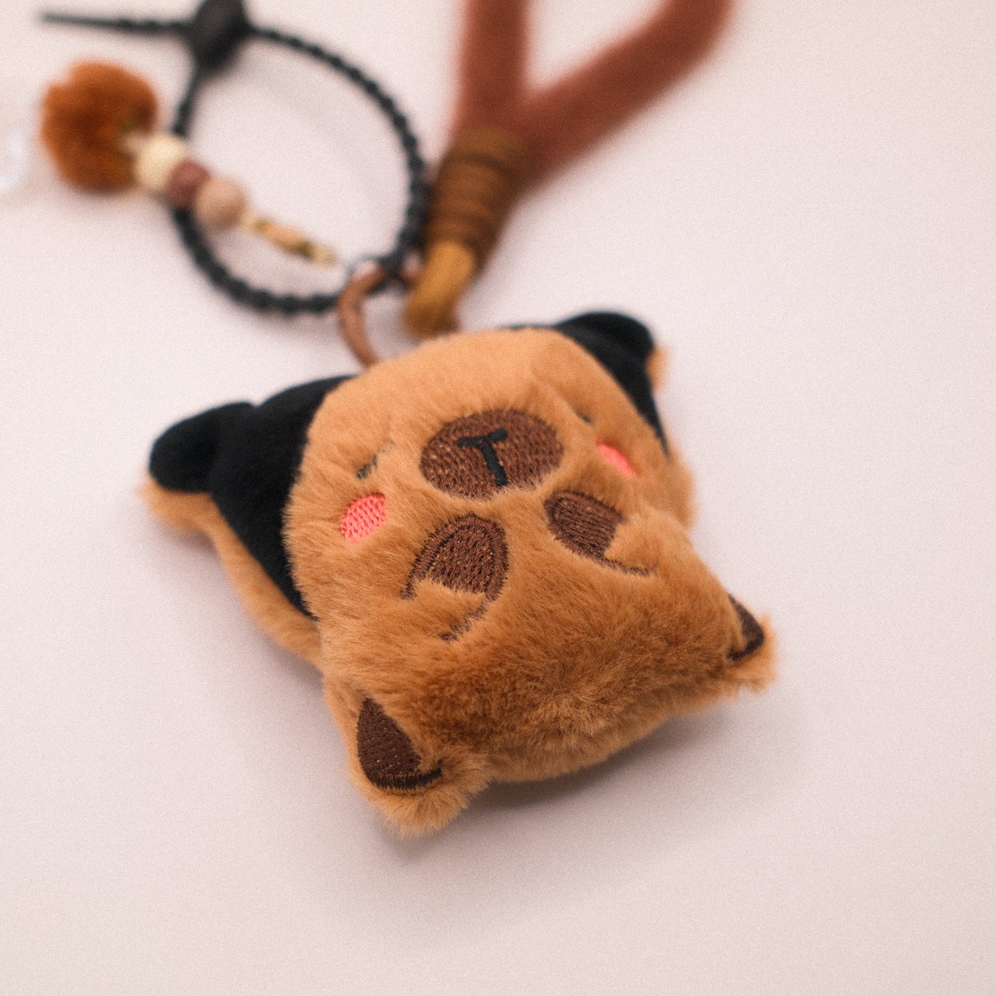 Pirate Capybara