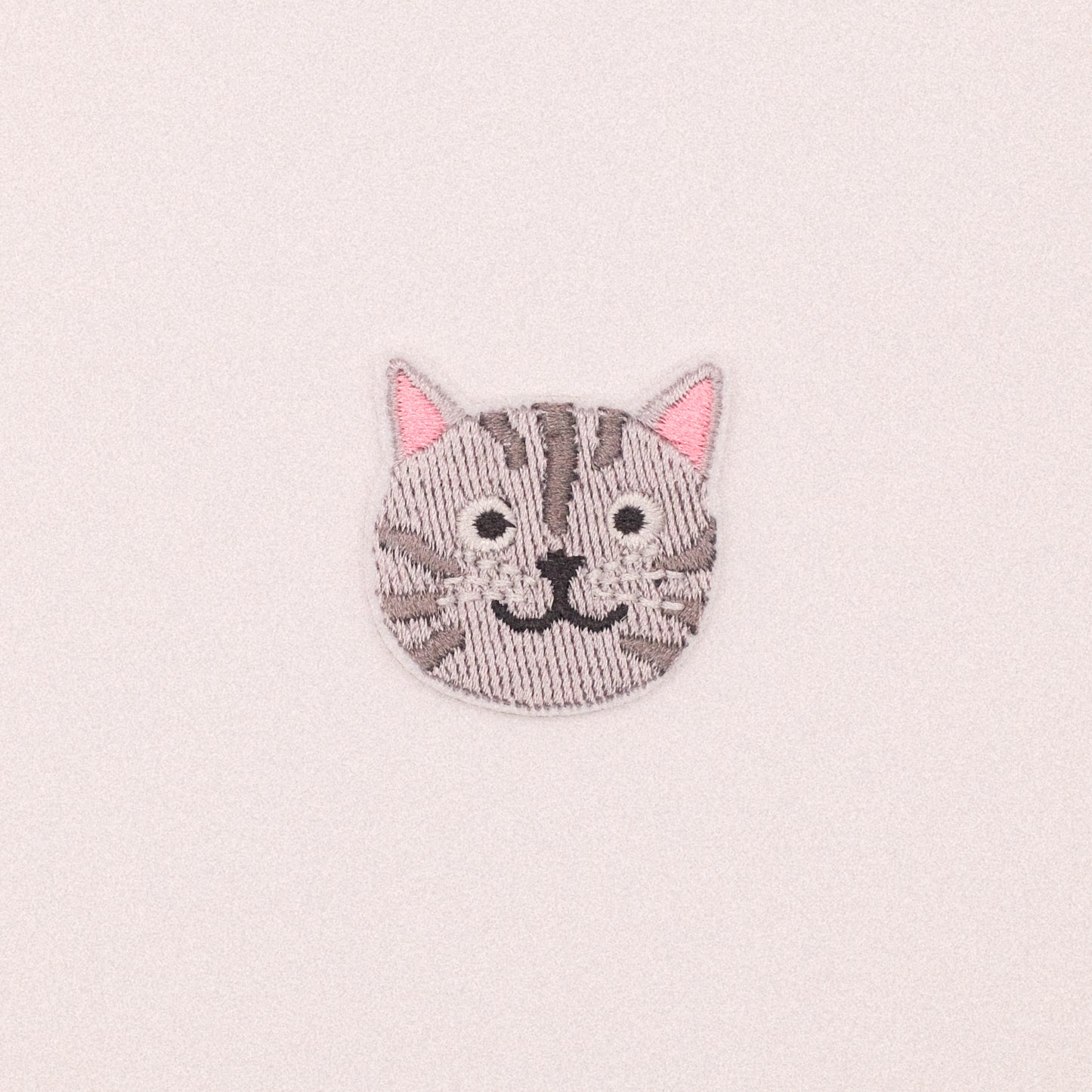 Tabby Cat