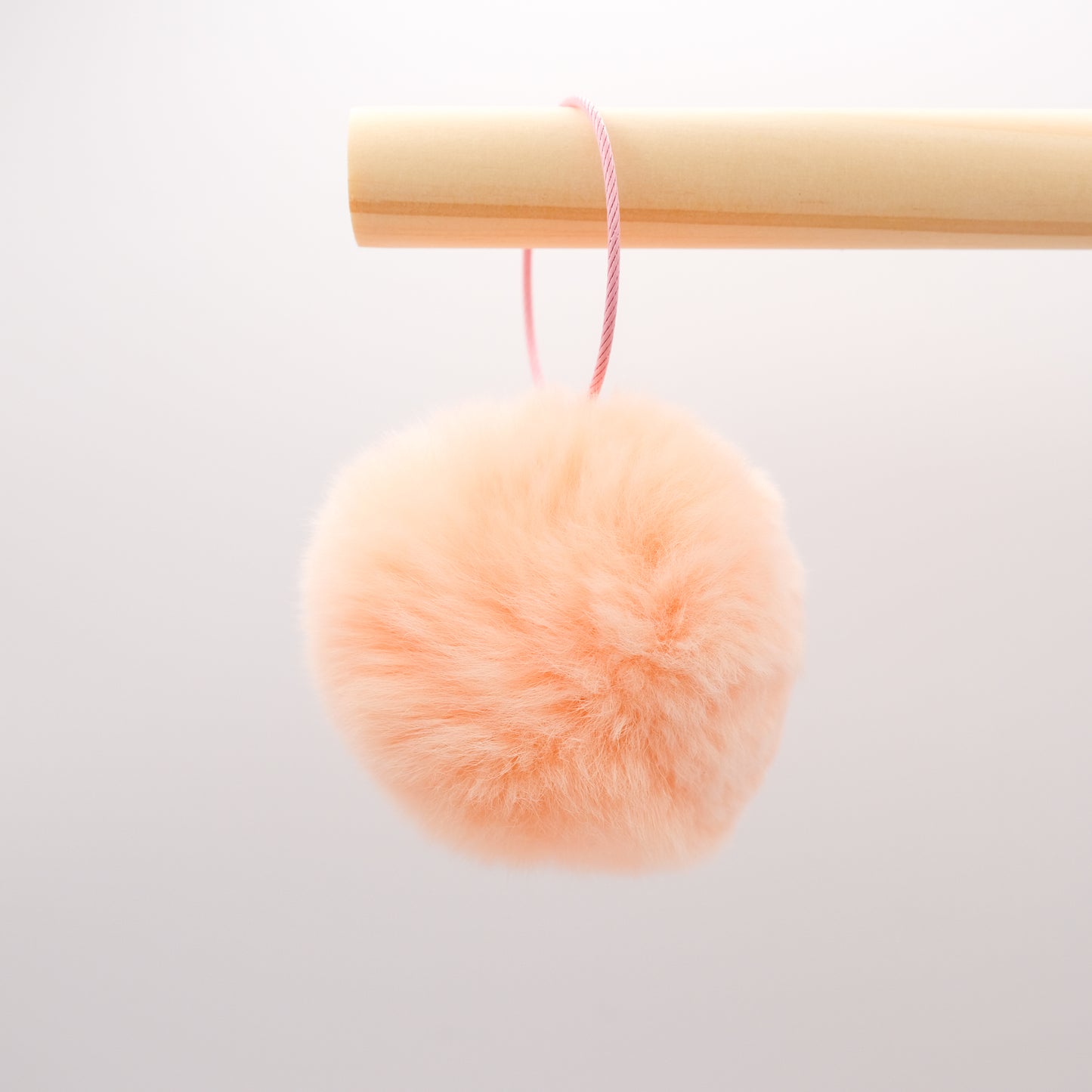 Peach Pink Pompom 🩷✨