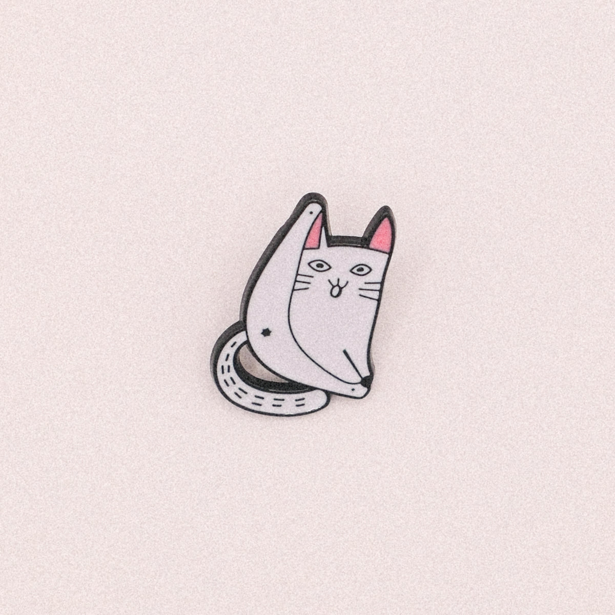 Frisky Cat