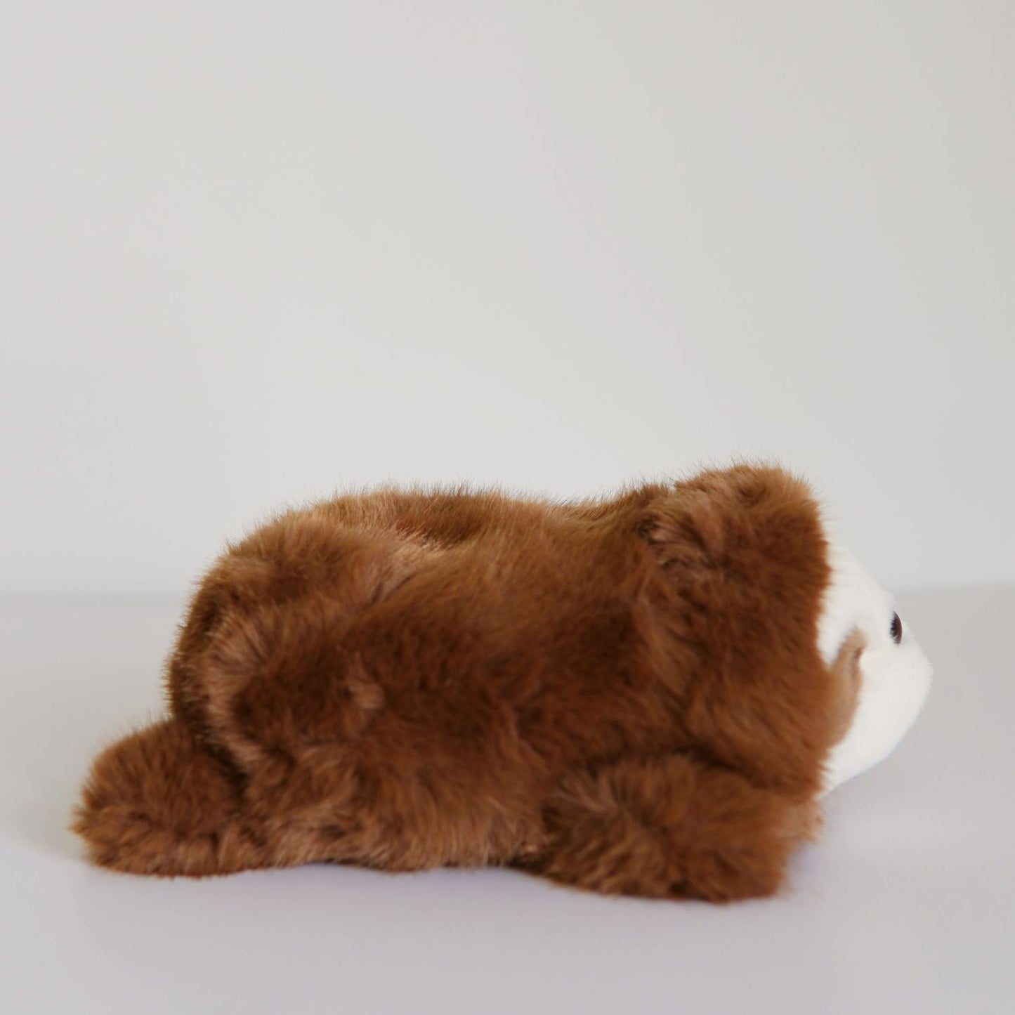 Lazy Sloth Plushie